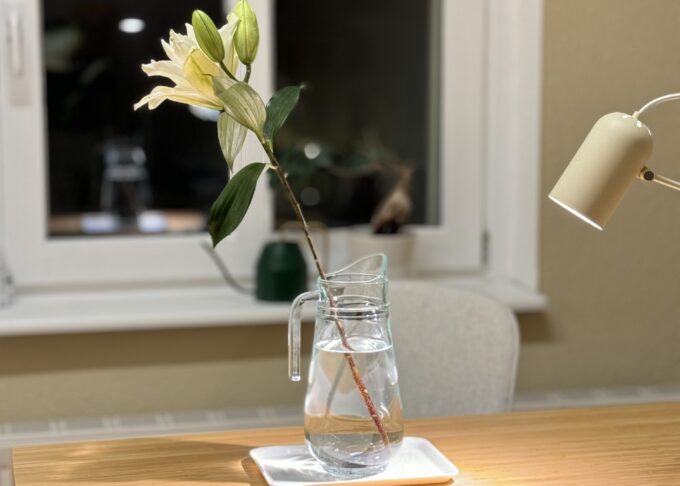 Einzeltherapie. Psychotherapie nach dem Heilpraktikergesetz. Systemische Therapie. Berlin.